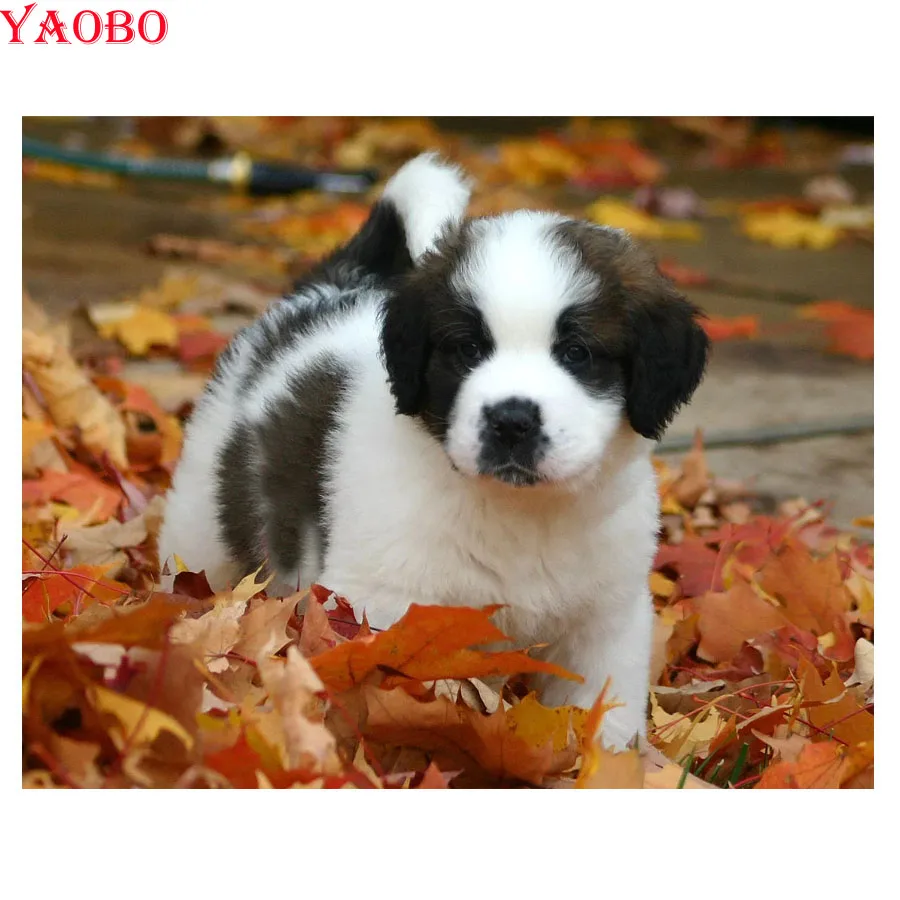 5d алмазная вышивка распродажа Алмазная картина со Святым Бернардом собака