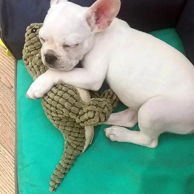 Pet собаки игрушки Puppy Чу скрипучий плюшевые бархатные звук Игрушечные лошадки для