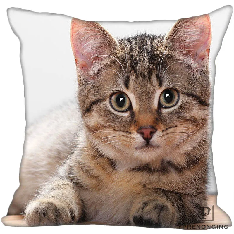 Custom Decorative Pillowcase Cats Kitten Rain Square Zippered Pillow Cover(One Side)80527-21-03