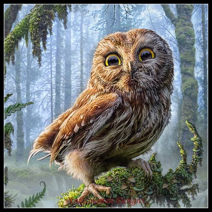 

Needlework for embroidery DIY French DMC High Quality - Counted Cross Stitch Kits 14 ct Oil painting - Jungle Owl