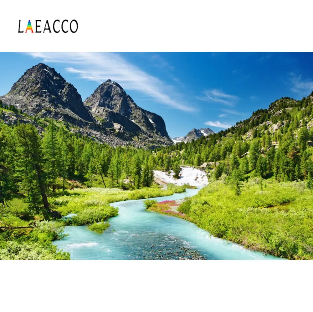 Laeacco природные Живописные фоны для фотосъемки с изображением горного столба
