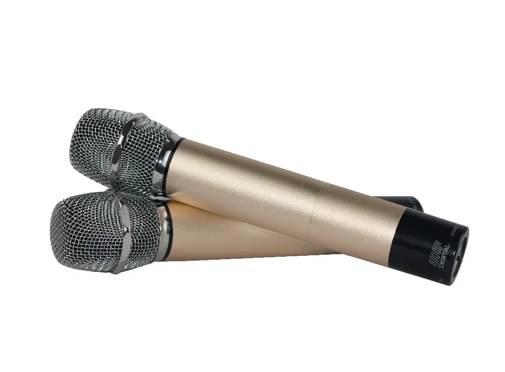 IiiMymic DF-G Двухканальный UHF беспроводной микрофон Система со звуковым эффектом 2 металла ручной микрофон для караоке DJ церкви