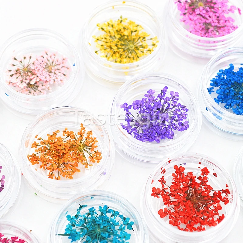 12 цветов натуральный сушеный цветок для УФ-геля ногтей |