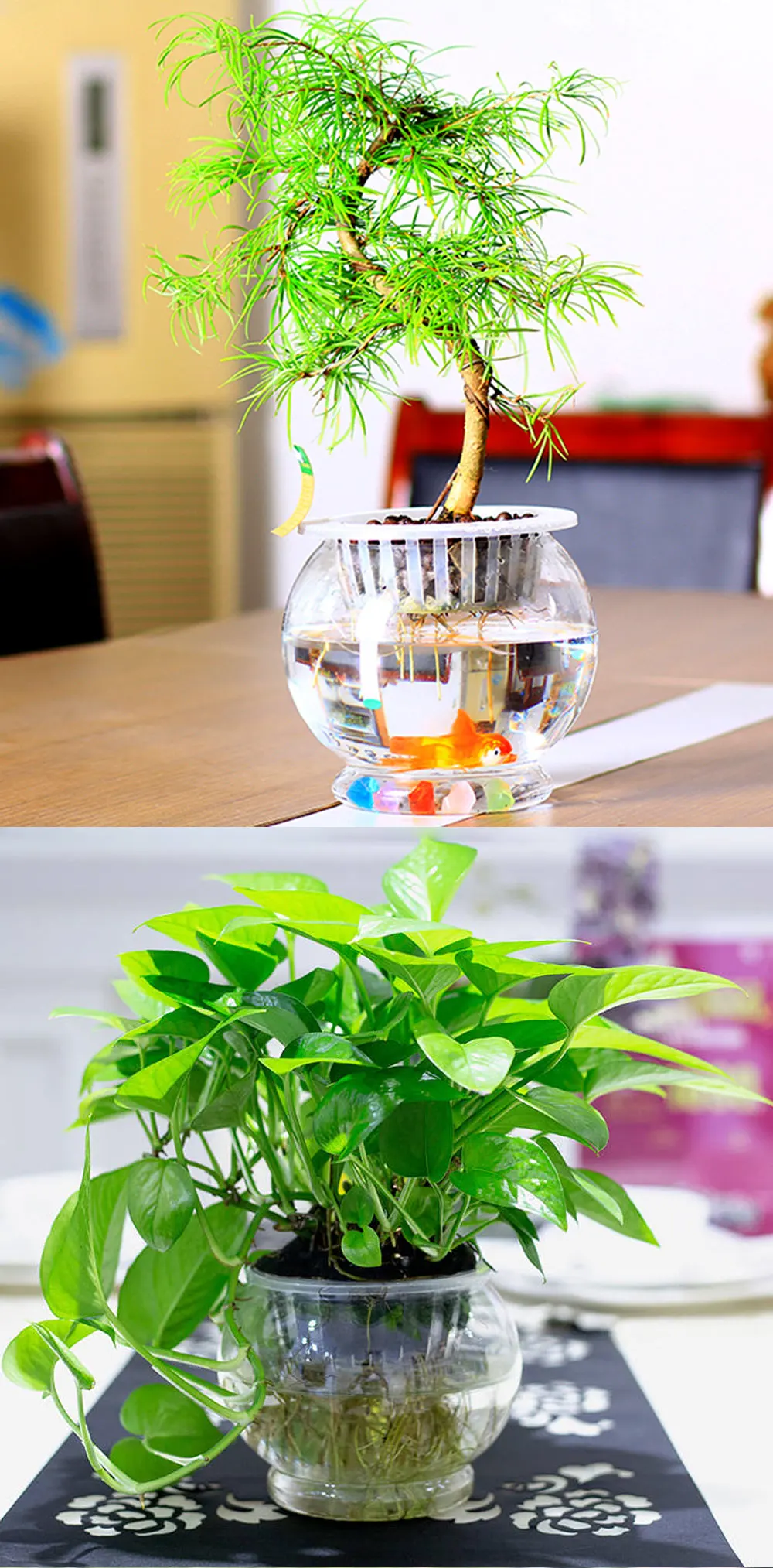 Гидропоника для сада пластик цветочный горшок Fish Tank разведение горшках гостиная спальня дома ручной работы книги по искусству украшения бутылки