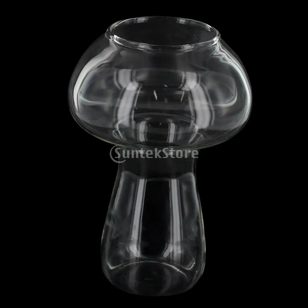 Прозрачная стеклянная ваза для украшения растений цветов грибов|vase bottle|glass vaseclear