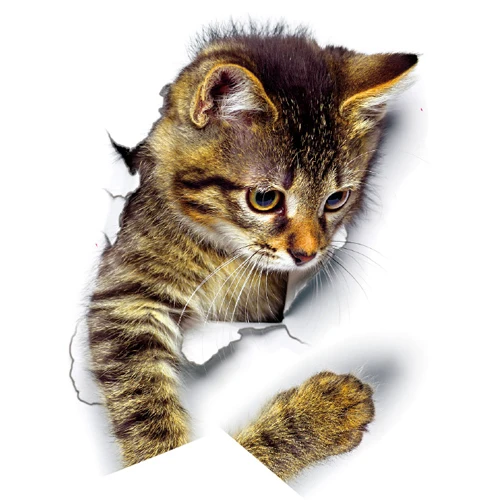 cat8 3D стикер на стену с изображением кошек, наклейки на туалет с отверстием для просмотра, яркие собаки, ванная комната для украшения дома, виниловые художественные наклейки с изображением животных - Цвет: cat8