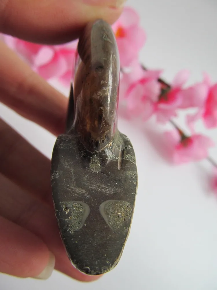 Редкий! Натуральный Радужный баммонит ракушка аммолита драгоценный камень