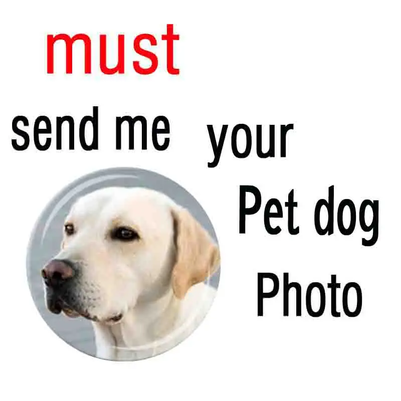 Ожерелье с подвеской для домашних питомцев фото собаки подарок любимого