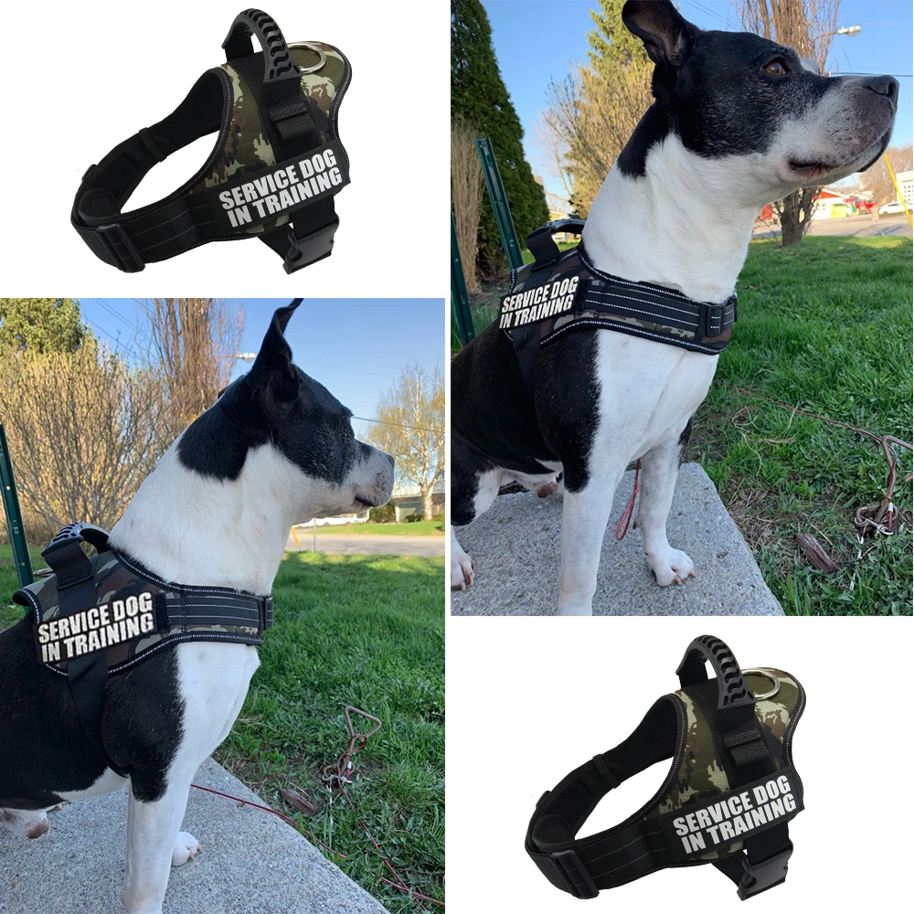 Dog harness Nylon reflective vest harness XS-XXL for small big dogs Chihuahua husky pitbull dog cat harnesses leash dog supplies images - 6