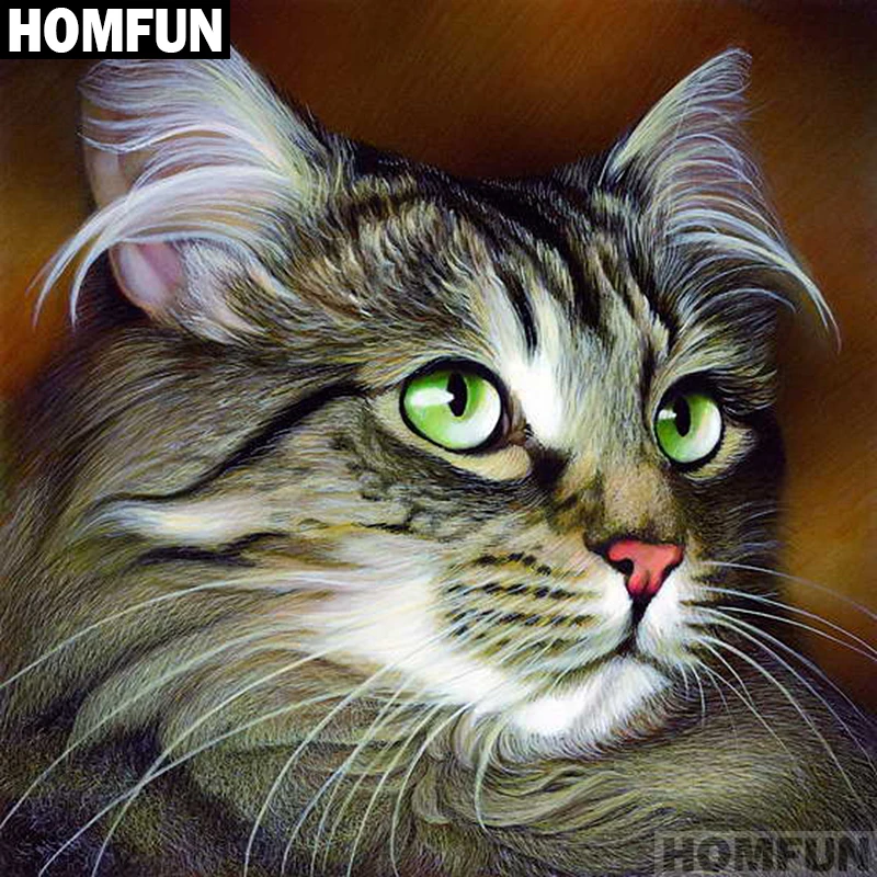 Алмазная живопись HOMFUN A01252 полноразмерная/круглая вышивка крестиком 5D сделай сам