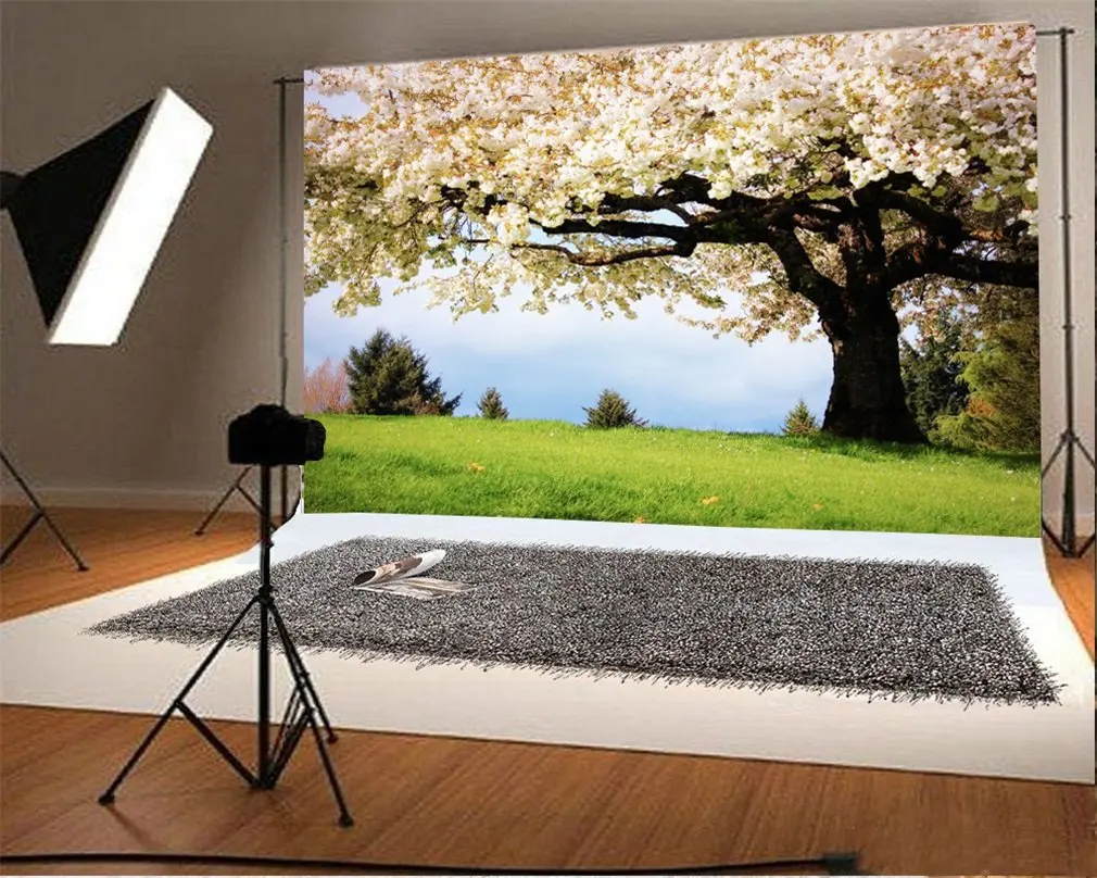 Фон для фотосъемки с изображением вишни цветов старого дерева Ric Grass Field Nature