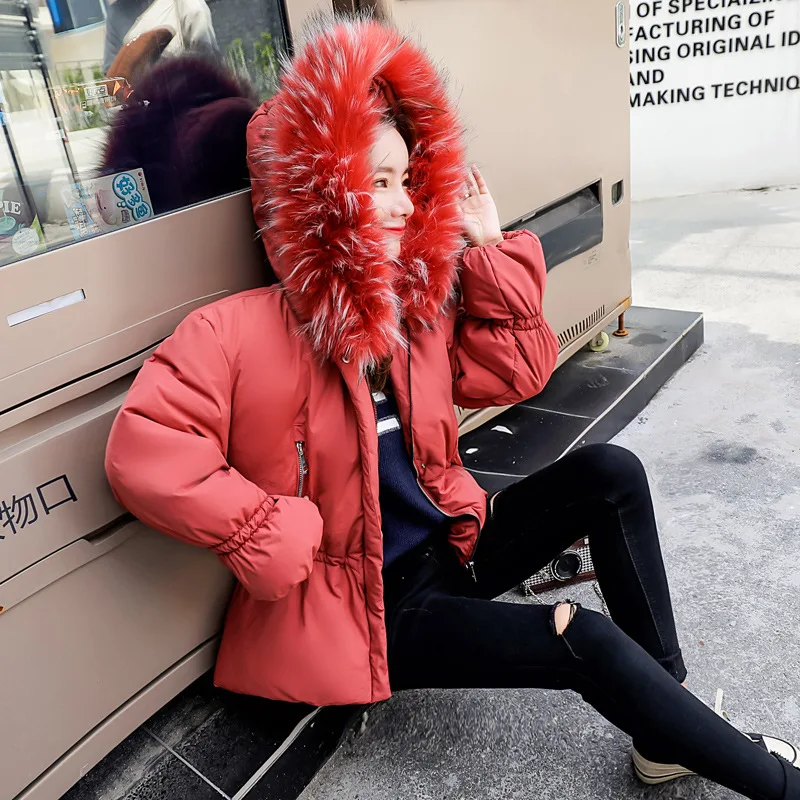 Зимняя новинка большой меховой воротник женское хлопковое короткое пальто