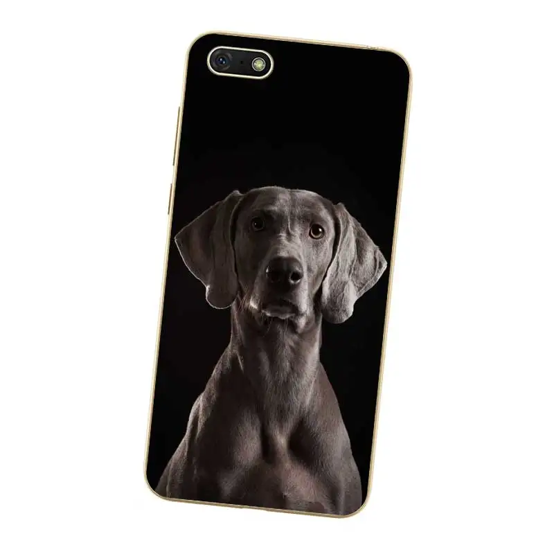 N464 Weimaraner Cute Soft TPU Silicone Case Cover For Huawei Honor 6A 6C 6X 7A 7C 7S 7X 8 Lite Pro |