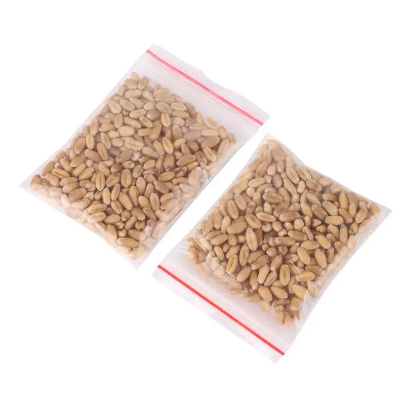 600Pcs Новинка, кошачья кошка, натуральные лакомства, контроль и удаление, Hairball - Цвет: 600Pcs