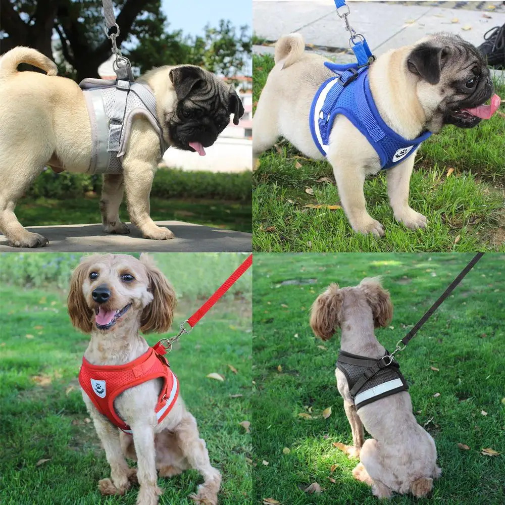 Pet Dog Cat Mesh Reflective Harness And Leash Set for Chihuahua Pug Small Medium Harnesses Vest Walking Lead | Дом и сад