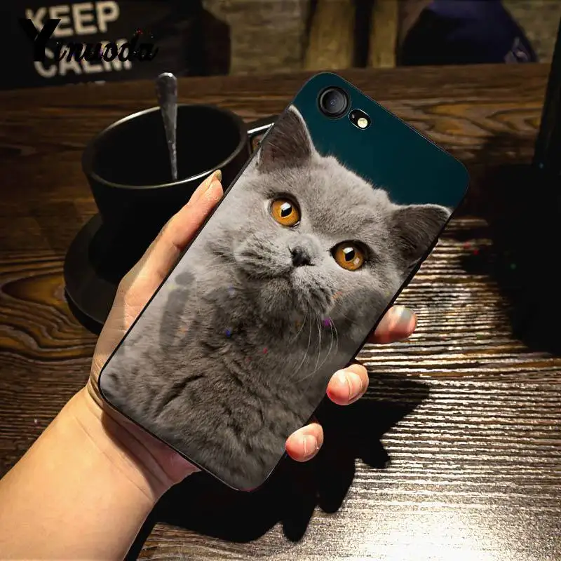 9 Yinuoda для iphone 7 6 X Чехол Британский короткошерстный Кот Топ Дизайн чехол для телефона для iphone 7 6X8 6s Plus 5 5S XS XR чехол - Цвет: 9