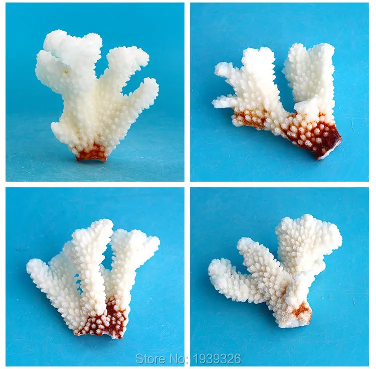 Натуральные белые коралловые рифы водные питомцы украшения для пруда декорация