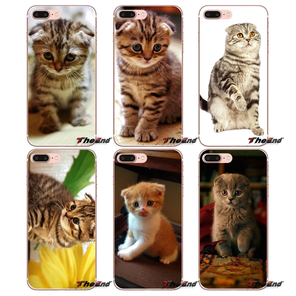 Мягкий чехол для iPhone X 4 4S 5 5S 5C SE 6 6S 7 8 Plus Samsung Galaxy J1 J3 J5 J7 A3 A5 2016 2017 Scottish fold cat Felis catus|case