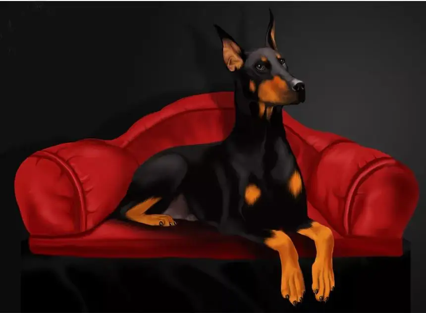 10 5D алмазная вышивка крестиком, Doberman Pinscher, DIY Алмазная вышивка, полная квадратная 3D Алмазная мозаика, стразы, Новое поступление - Цвет: 10