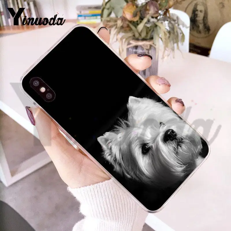 For iphone 13 7 6 X Case Westie Terrier Dog Puppy Highland Phone for 8 6S Plus 5 5S SE 5C XS XR | Мобильные телефоны и