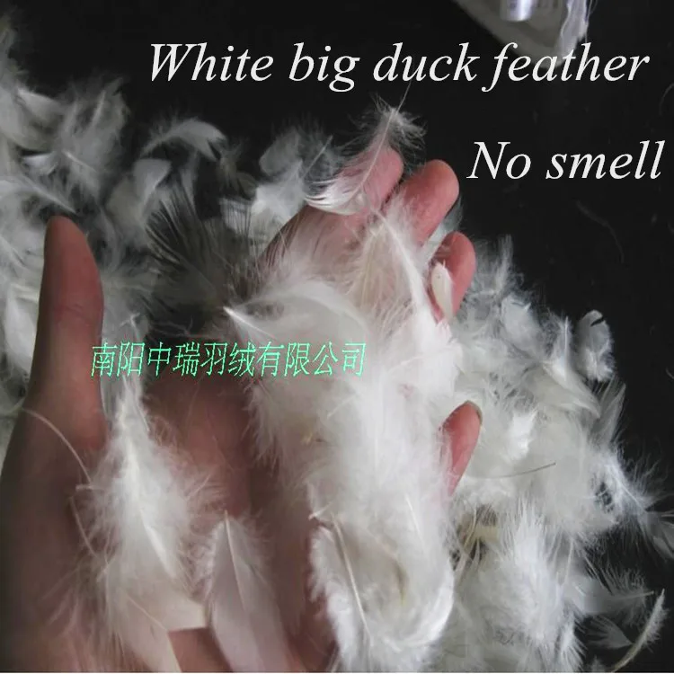 Sofa Filler White big duck feather cushion pillow mattress filler odorlessness clean degree 1000 factory direct sales $1.5 / lb | Дом и сад