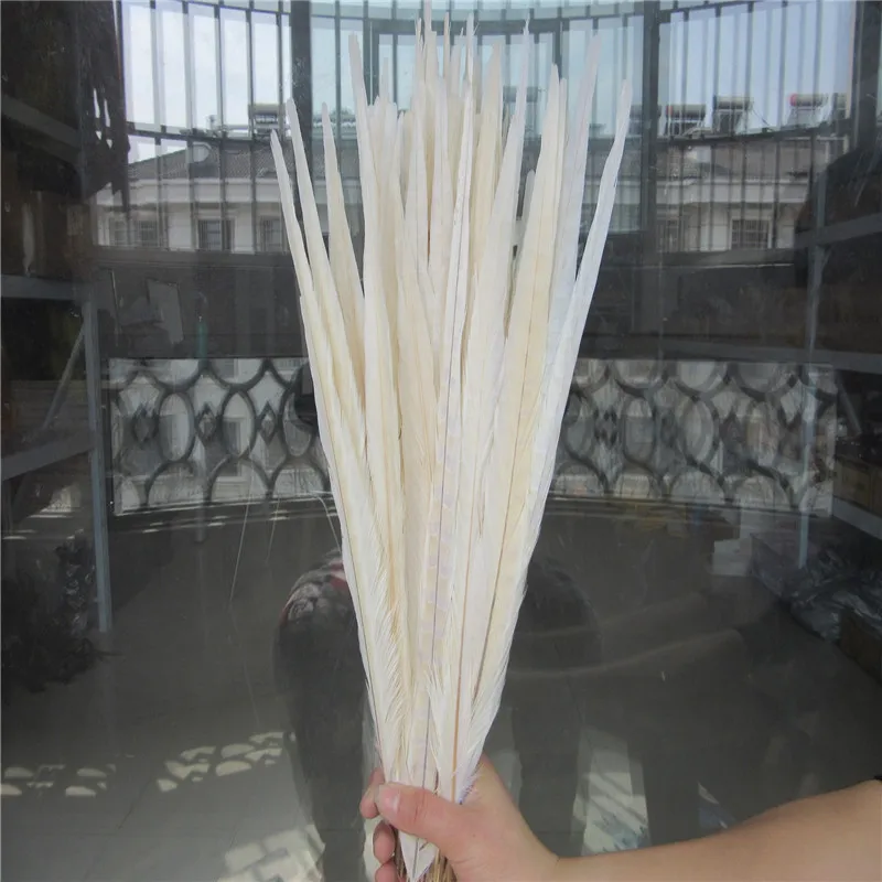 OFF WHITE 50 шт. натуральные перья из хвоста фазана 16-18 дюймов 40-45 см Высокое качество Diy Ювелирные изделия Свадебные украшения перья фазана - Цвет: OFF WHITE