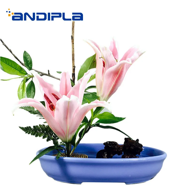 

Креативный керамический Овальный цветочный горшок Ikebana, основание для цветочной композиции/Декор для домашнего садоводства, Настольная Ва...