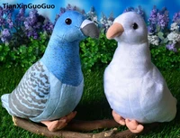 about 22cm peace bird dove plush toy soft doll baby toy birthday gift w0909