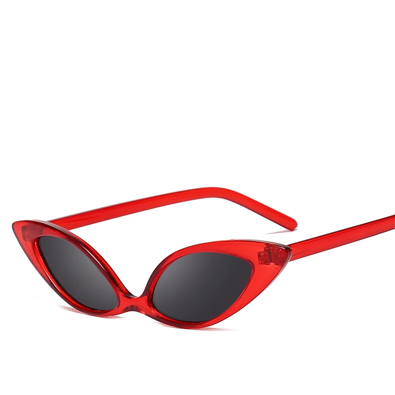 

Eyewear & Accessories