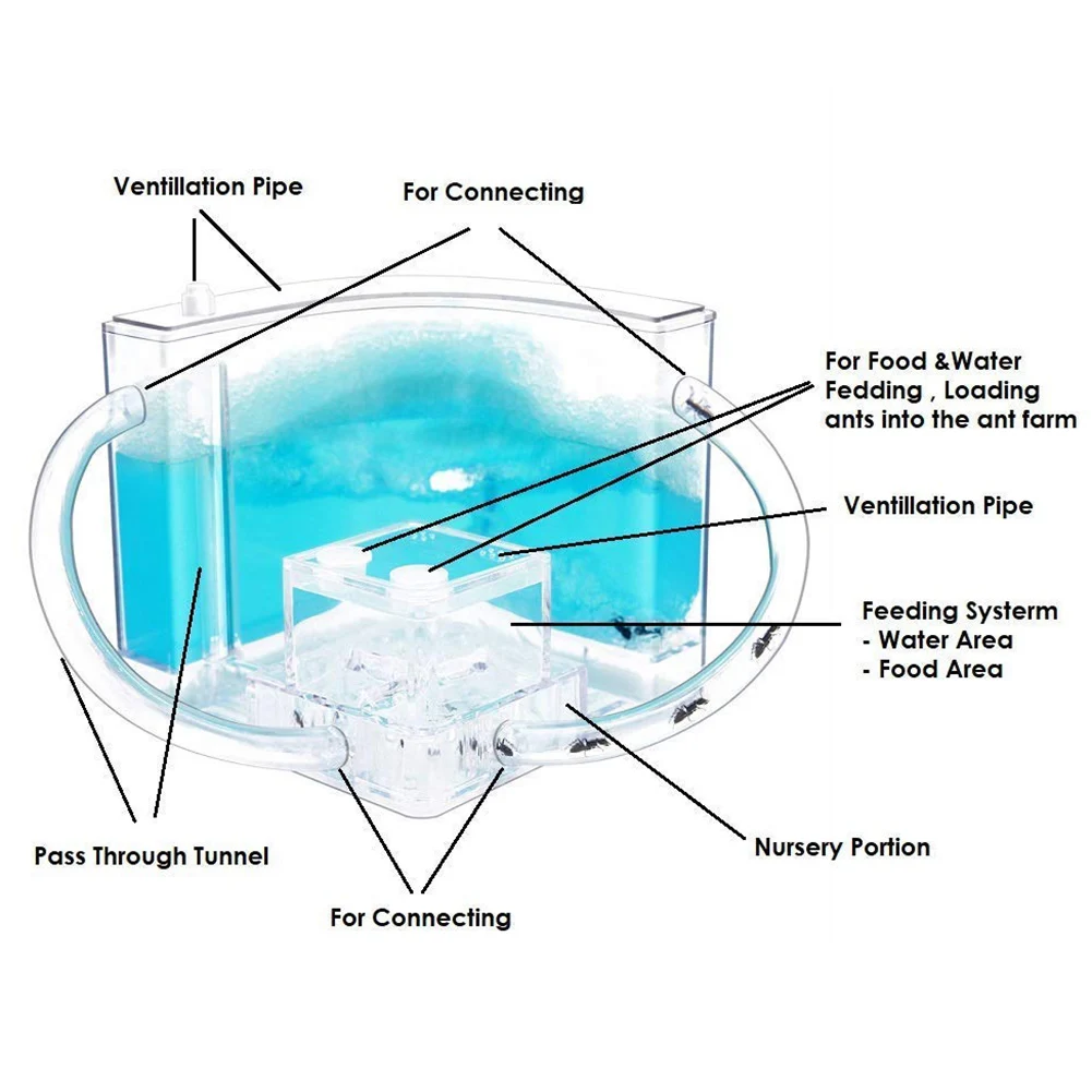 Детский муравьиный замок игрушки гнездо для рептилий натуральная муравьиная