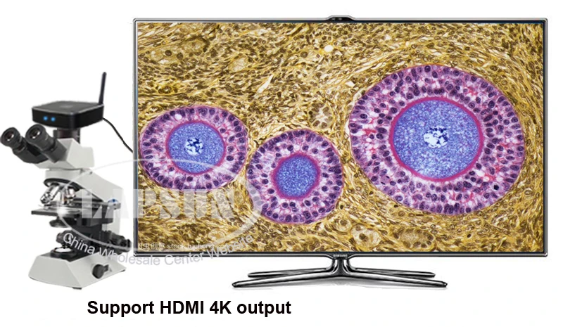 120 ГБ 1/1.7 &quotдатчик 4K UHD HDMI FHD Wi Fi 1080P @ 60fps промышленная микроскоп Цифровая