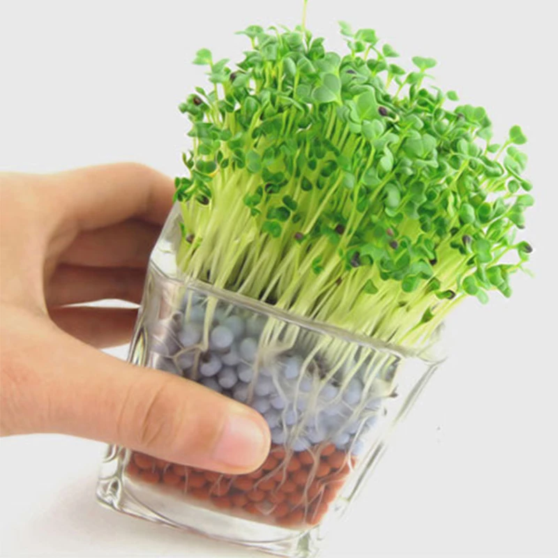 500 г разноцветный каменный горшок мясника украшение анион земля вода культура