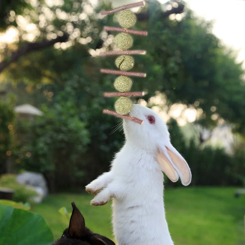 Мячик для чистки зубов домашних животных попугай хомяк висячая жевательная