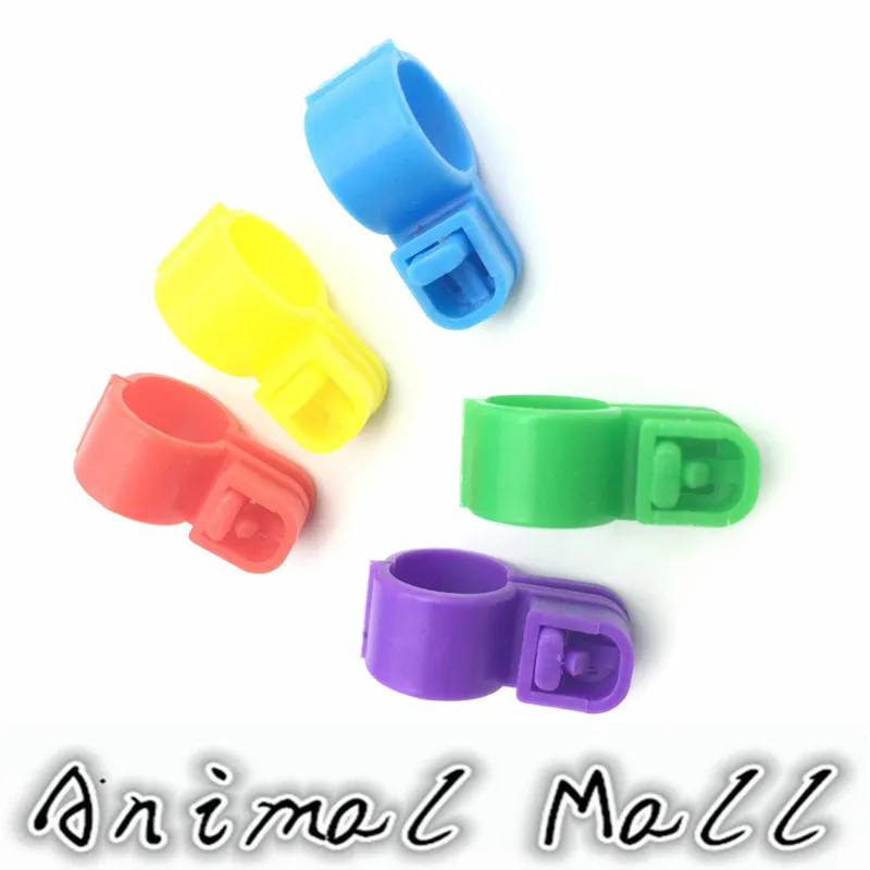 500 шт ПЭТ птицы перепелиный попугай голубь 5 видов цветов формула открытия