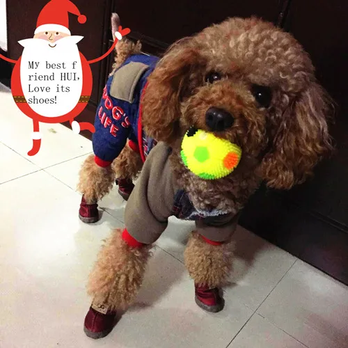 Коровья кожа подошва осень и зима зимние сапоги повседневная обувь для собаки