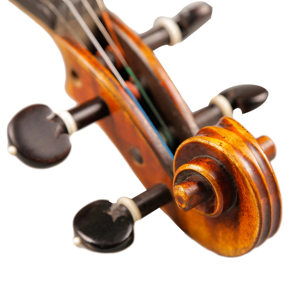 Рисунок 6 - Профессиональная полноразмерная