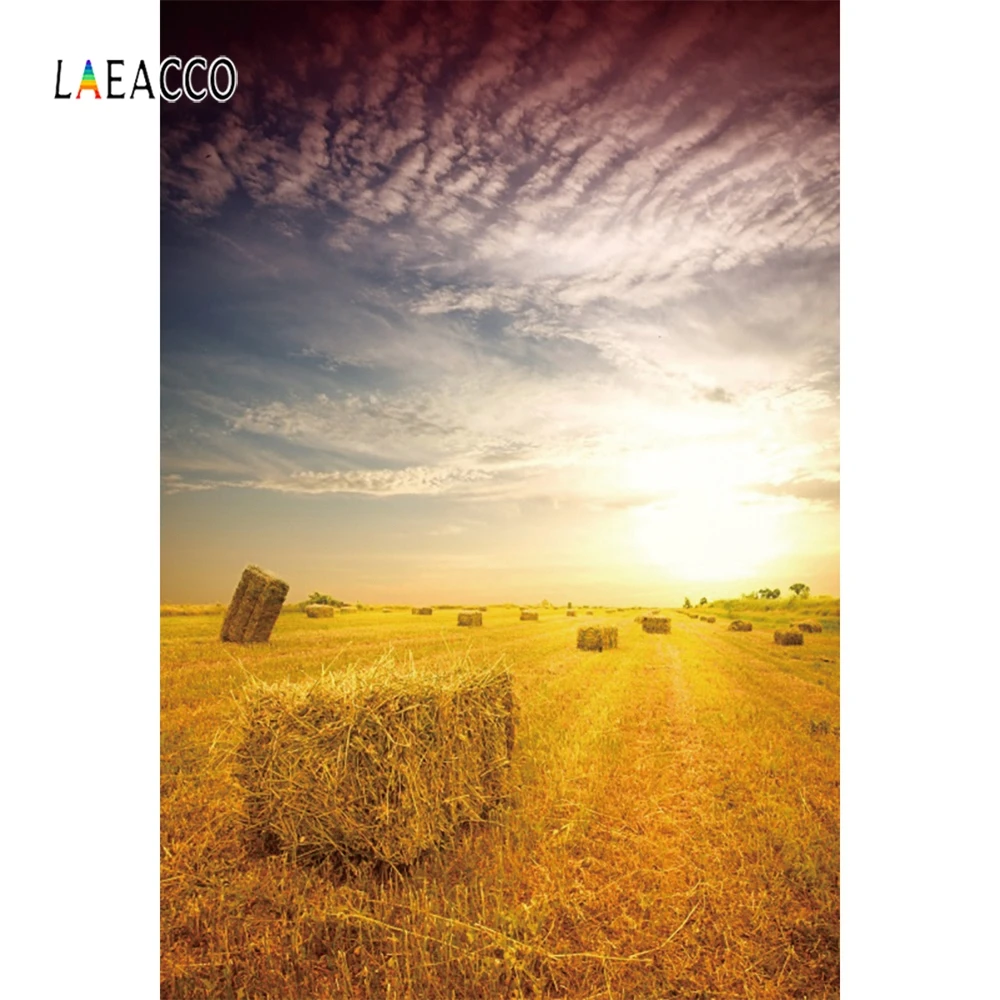 Laeacco на школьном пути доска дети сцены фотографии фоны индивидуальные фотографические фоны для фотостудии