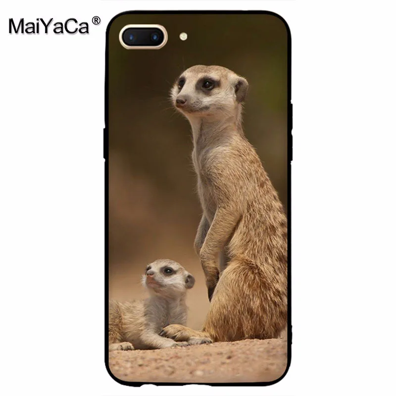 MaiYaCa animal mob of meerkats Diy защитный чехол для сотового телефона OPPO R9 R9S R11 PLUS casefor vivo X9 X20 |