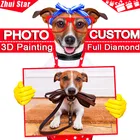 Алмазная вышивка 