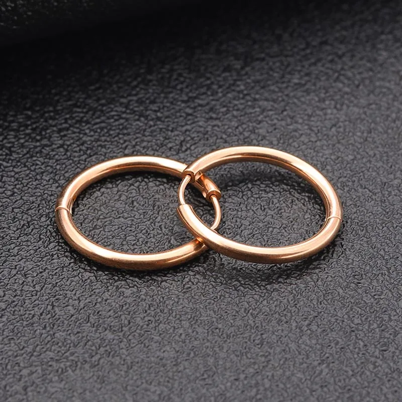 Rose Gold 2 шт., золотые, серебряные, черные, синие, 316L, нержавеющая сталь, круглые хирургические серьги-кольца, корейские милые, 2,5 мм, толстые круглые серьги, Панк ювелирные изделия - Окраска металла: Rose Gold