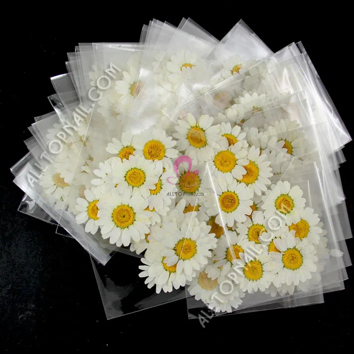 300 шт. сушеные цветы|dried flowers|pressed flowerspressed dried flowers |