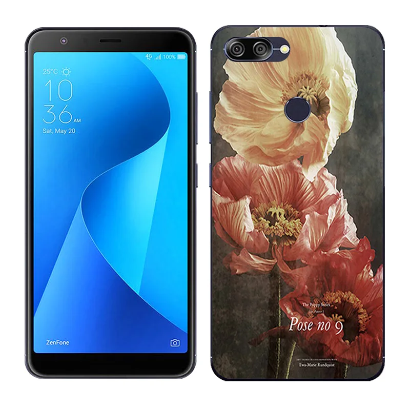 03 Силиконовый чехол для Asus Zenfone Max Plus M1, мягкая задняя крышка с рисунком Пейзажа для Asus Zenfone Max Plus M1 ZB570TL X018D - Цвет: 03