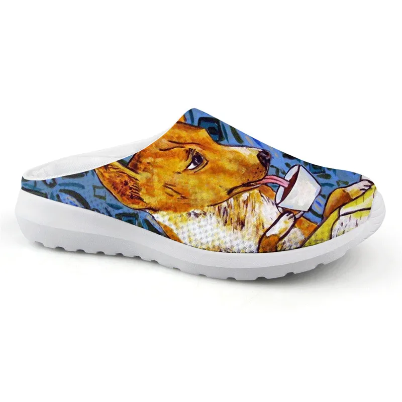 Новое поступление летние разноцветные женские туфли Basenji на плоской подошве с