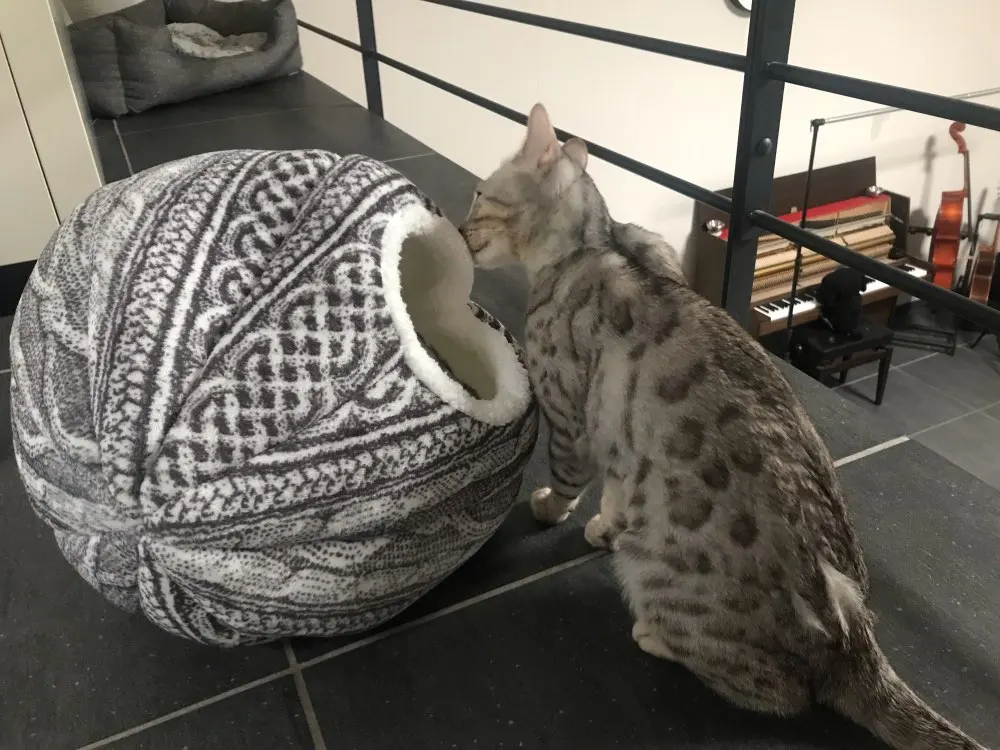 Лежанки для кошек Сферический кошачий домик с круглым отверстием, вашей кошке понравится! Кошачий домик круглые кровати