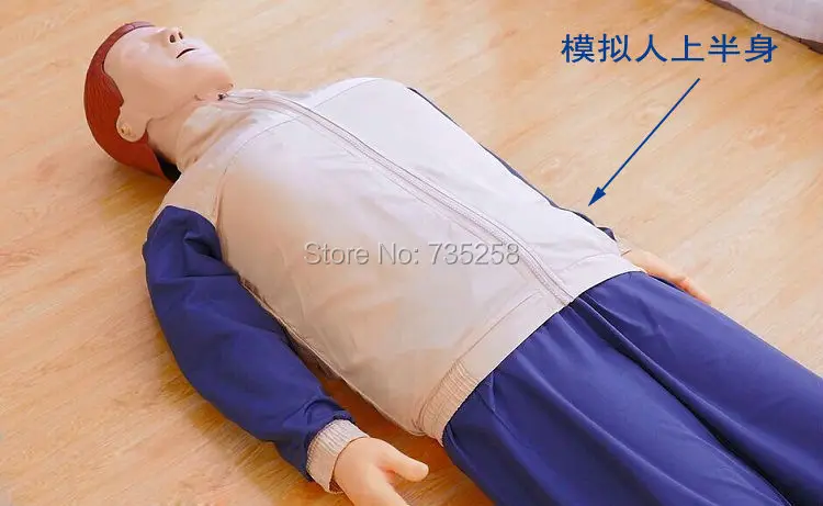 Модель CPR модель компьютерного контроля Учебная первой помощи|cpr model|first aid trainingcpr