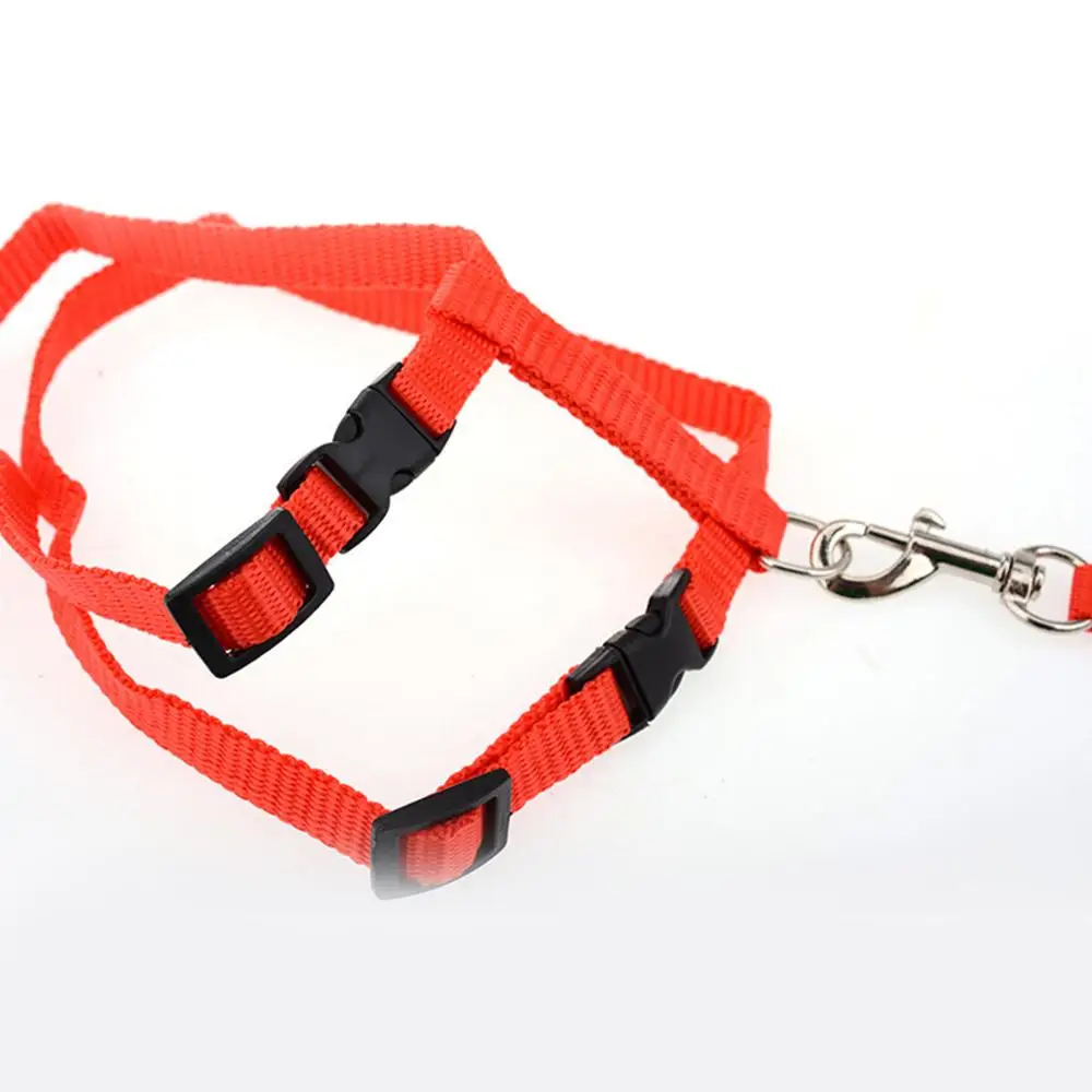 Нейлоновый сетчатый поводок с бантиком для кошки и прогулки маленькой кошкой