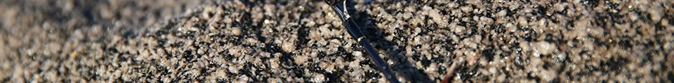 TSURINOYA 2Secs 1,4 m спиннинговое удилище UL 1-6g/2-6LB пробковая ручка углеродное спиннинговое удилище Vara De Pesca Olta Cana De Pescar Peche