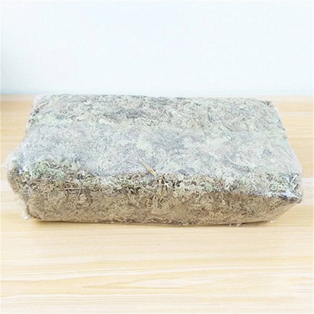6L/12L Sphagnum Doy Moss сад увлажняющее питание органическое удобрение для орхидеи фаленопсис Musgo Sphagnum