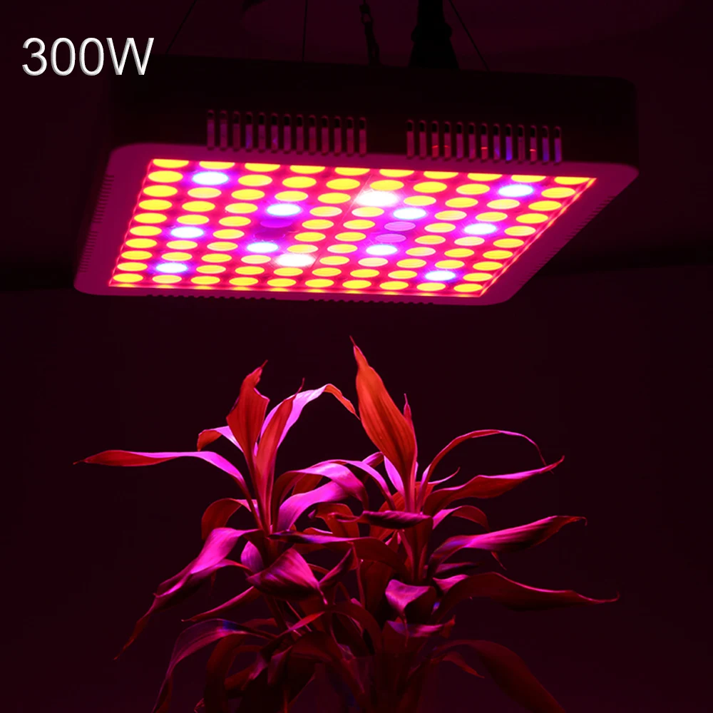 

300W Phyto Lamp LED grow light Full Spectrum for Indoor Greenhouse grow tent plants grow led light