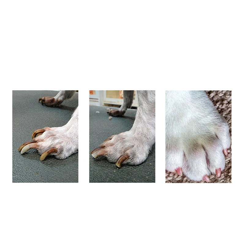 Кусачки для когтей домашних животных собак кошек безопасные когти ножницы резак